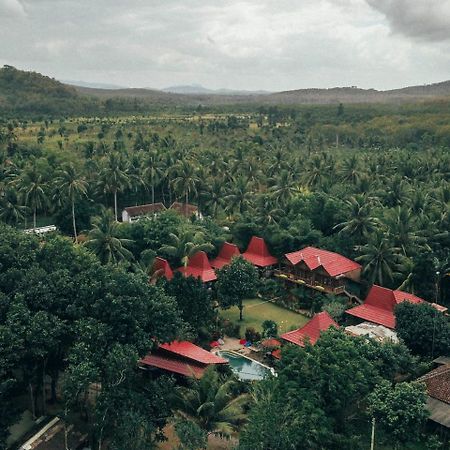 Mojosurf Camp Red Island Hotel Pasanggaran Eksteriør billede