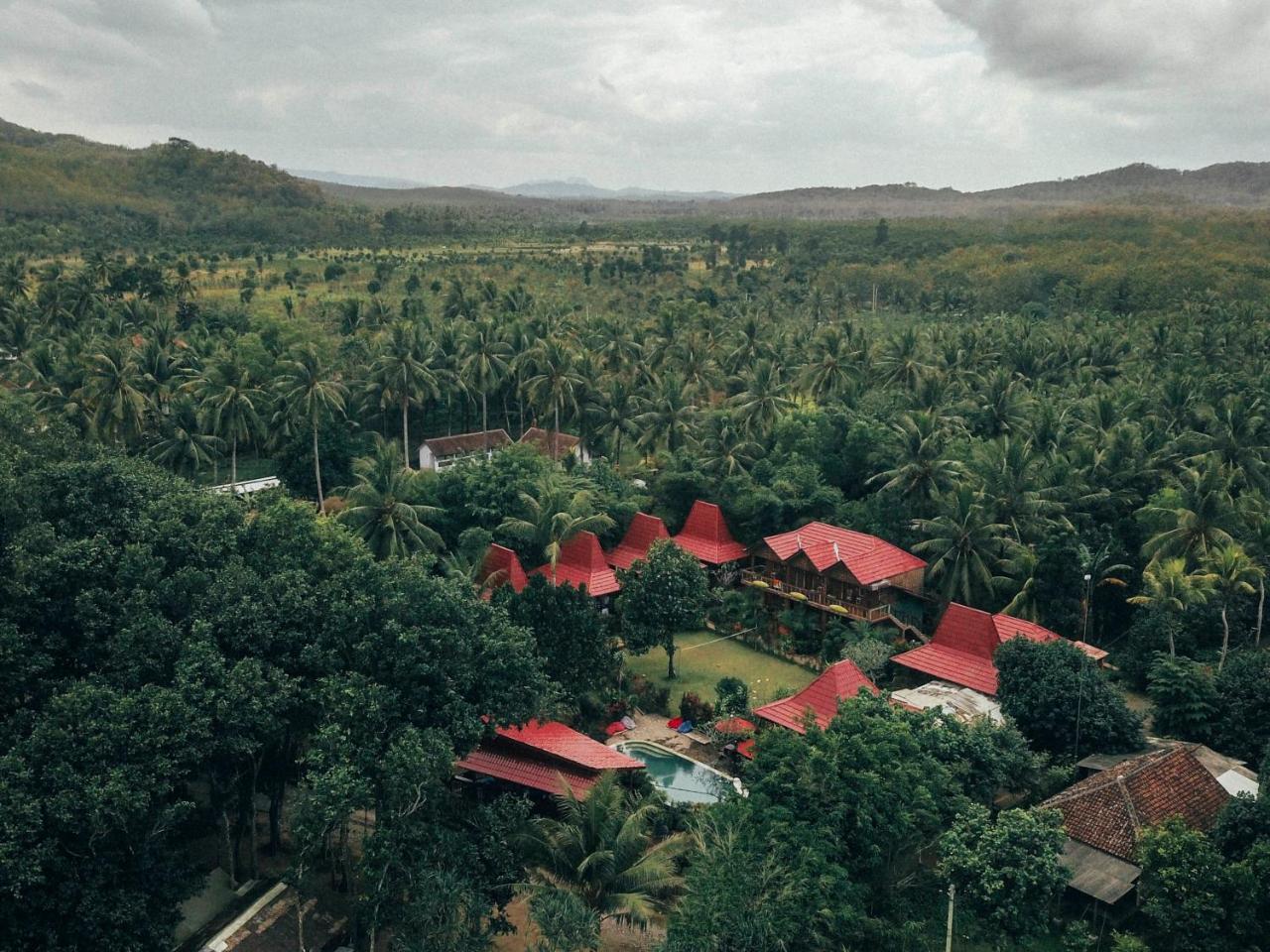 Mojosurf Camp Red Island Hotel Pasanggaran Eksteriør billede